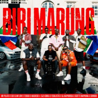 Mr Pilato, Ego Slimflow & Tebogo G Mashego, Sje Konka, Focalistic, DJ Maphorisa, Scotts Maphuma , CowBoii - Biri Marung