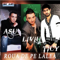 Liviu Guta, Asu' , Ticy - Roua De Pe Lalea