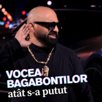 Florin Mitroi, VOCEA BAGABONTILOR - Atat s-a putut