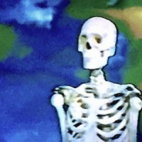 BONES - CtrlAltDelete